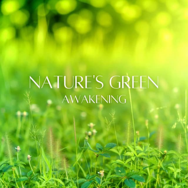 Nature's Green Awakening: Soothing Spring Atmosphere - Total Relax Zone