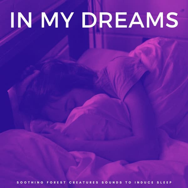 In My Dreams: Soothing Forest Creatures Sounds To Induce Sleep - Sleeping Music Academy