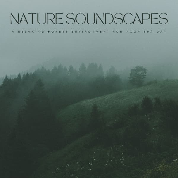Nature Soundscapes: A Relaxing Forest Environment For Your Spa Day - Earth Melody