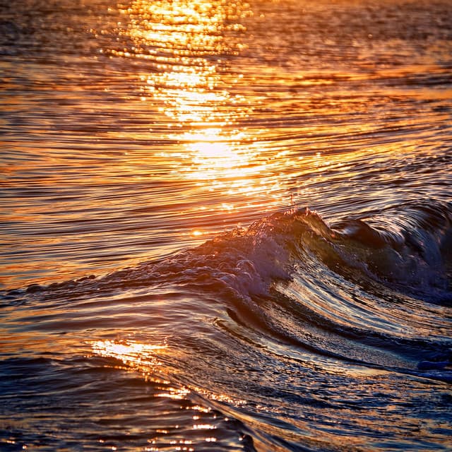 Lofi Relajante: Paisajes Sonoros Armónicos - Almuerzo tranquilo