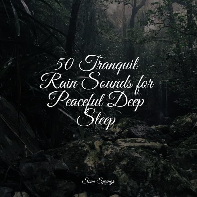 50 Rain Sounds for Meditation - The Sleep Helpers