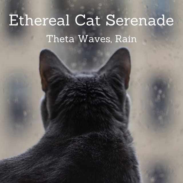 Ethereal Cat Serenade: Theta Waves, Rain - Calming Cat Music