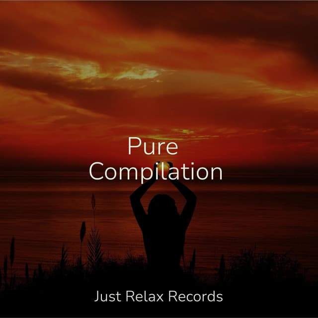 Pure Compilation - Lounge relax