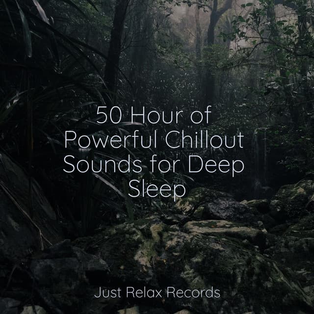 50 Hour of Powerful Chillout Sounds for Deep Sleep - Mantra para Dormir