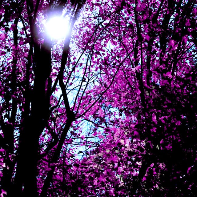 Soothing White Noise, Brown Noise, Appliances, and other Audio - Peaceful Sleep