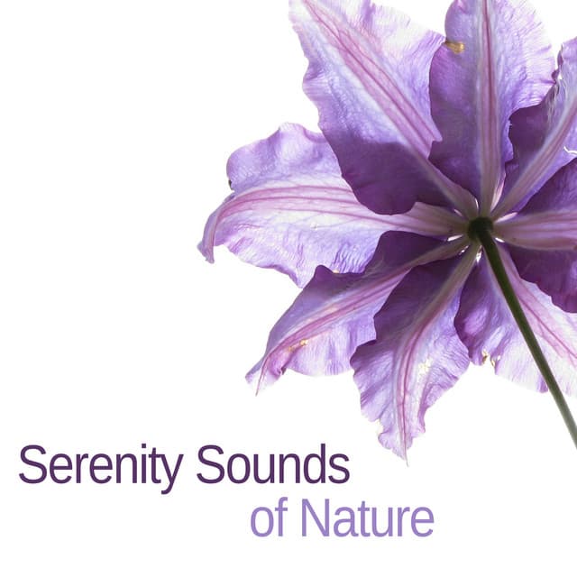 Serenity Sounds of Nature – Relaxing Music for Massage, Yoga, New Age & Healing Music - Nature Tribe