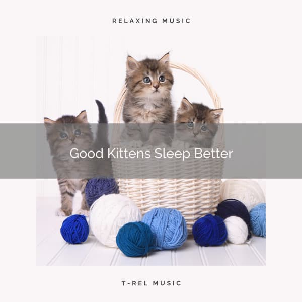 Good Kittens Sleep Better - Thiago Mascotas