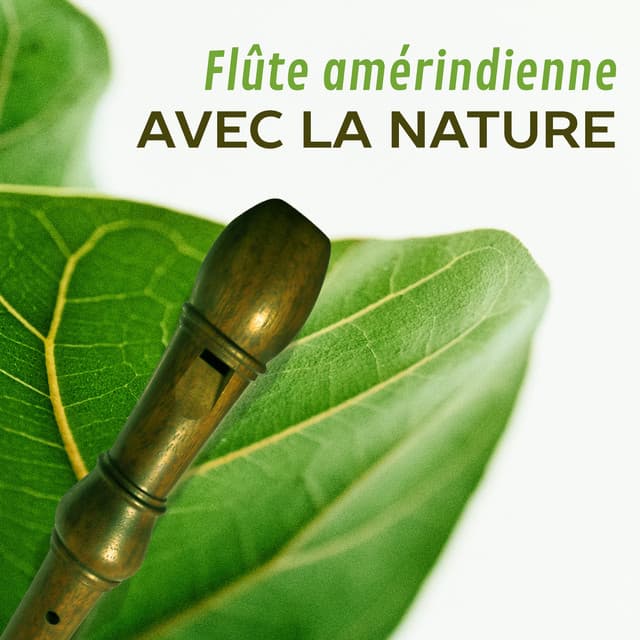 Serenity Nature Sounds Academy