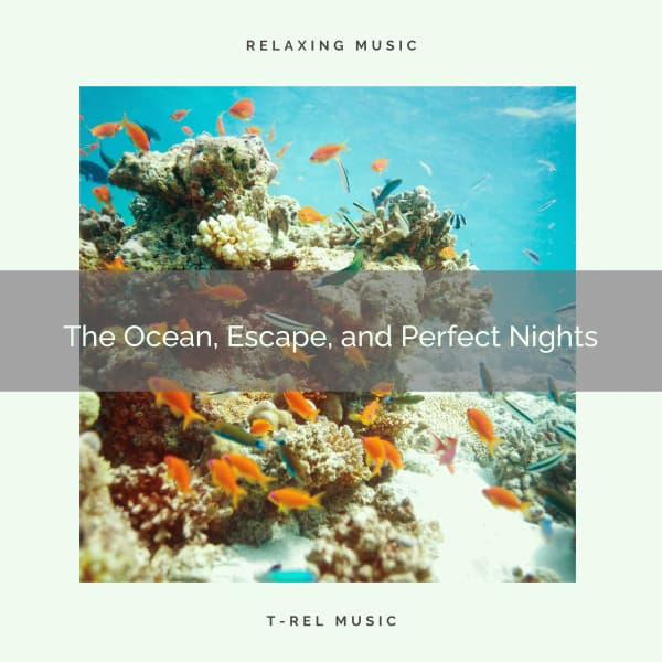 The Ocean, Escape, and Perfect Nights - Water Sound Natural White Noise