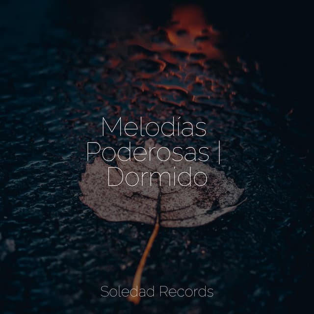 Melodías Poderosas | Dormido - Meditación Guiada