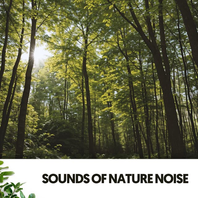 Sounds of Nature Noise: Symphony of Serenity - Dog Relaxation