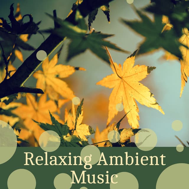 Relaxing Ambient Music – Calming Nature Sounds, Echoes of Nature, Peace & Harmony - The Calming Sounds Of Nature