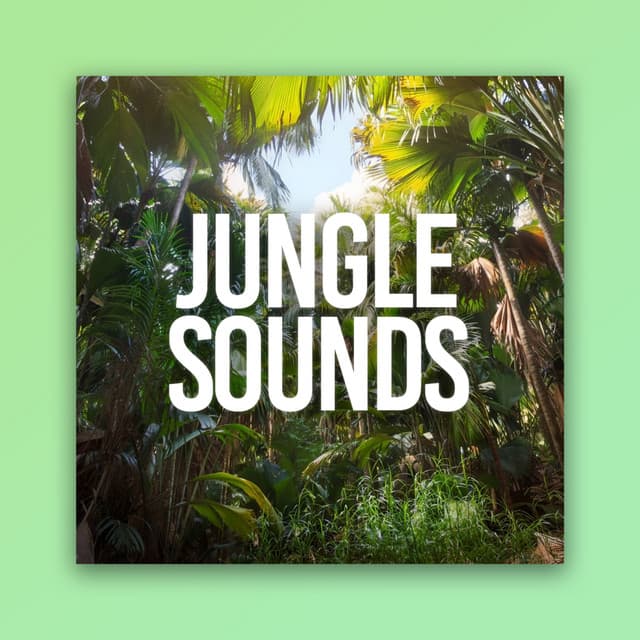 Jungle Sounds - Heavy Rain Sounds