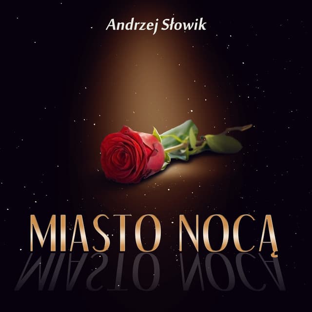 Miasto Nocą - Andrzej Słowik