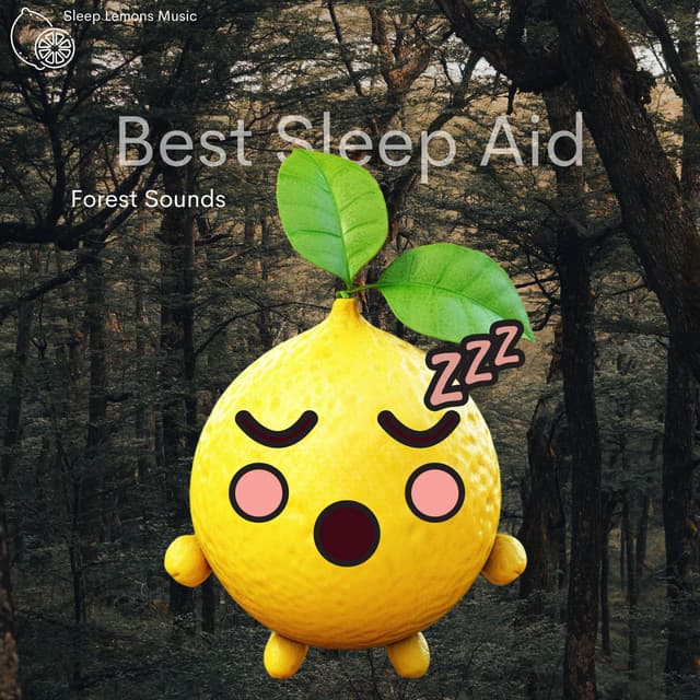 Best Sleep Aid - Sleep Lemons Music