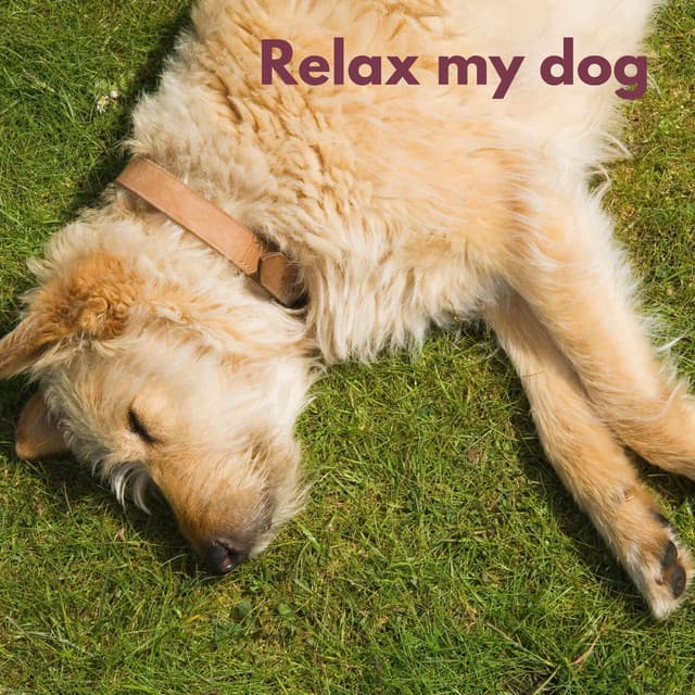 Dog Chill - Music For Dogs Peace