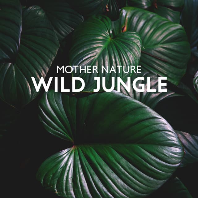 Mother Nature – Wild Jungle, Nature Sounds with Ocean Waves, Calming Crickets Sound, Birds Singing - Mothers Nature Music Academy
