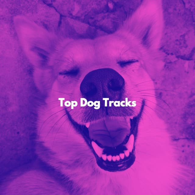 Top Dog Tracks - Kaffeehaus Jazz