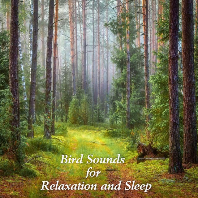 Bird sounds for Relaxation and Sleep - Nature Sound Series