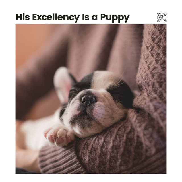 His Excellency Is a Puppy - Calming for Dogs