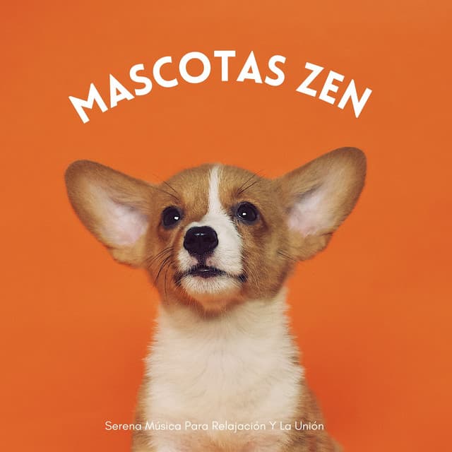 Mascotas Zen: Serena Música Para Relajación Y La Unión - Serenidad y Armonía
