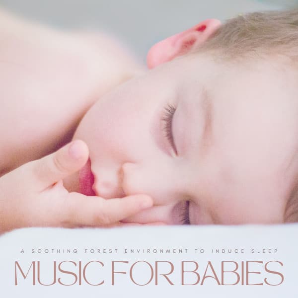 Music For Babies: A Soothing Forest Environment To Induce Sleep - Baby White Noise / White Noise for Babies