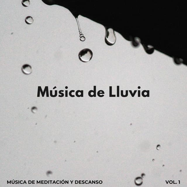 Música De Lluvia: Música De Meditación Y Descanso Vol. 1 - La Lluvia Suena Expertos en Naturaleza