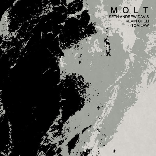 Molt - Kevin Cheli