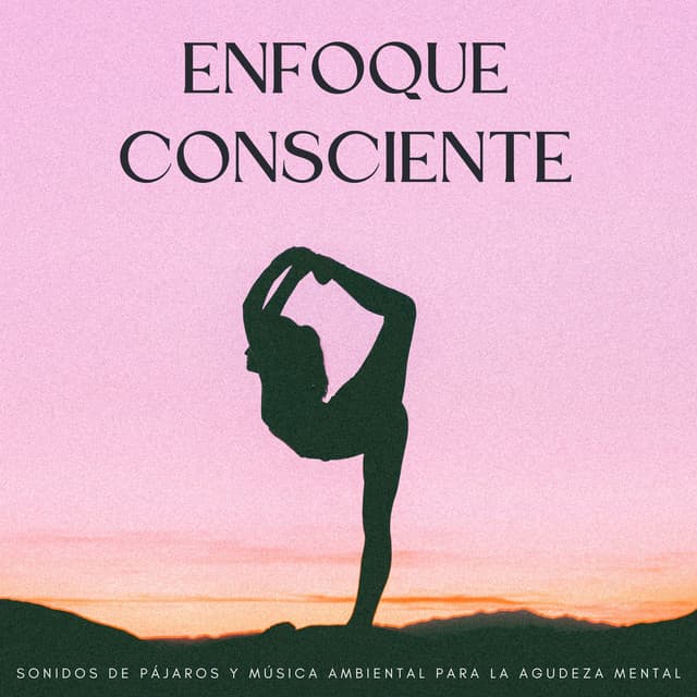 Enfoque Consciente: Sonidos De Pájaros Y Música Ambiental Para La Agudeza Mental - Pájaros en la televisión
