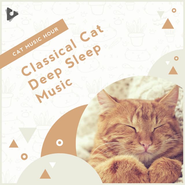 Classical Cat Deep Sleep Music - Cat Music Hour