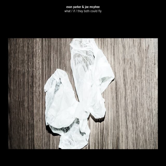 What If They Both Could Fly - Evan Parker