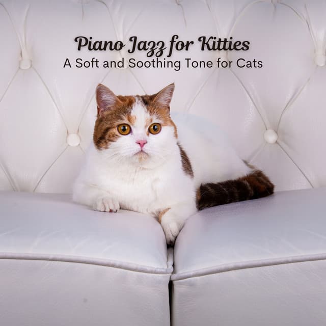 Piano Jazz for Kitties: A Soft and Soothing Tone for Cats - Lazy Sunday Jazz