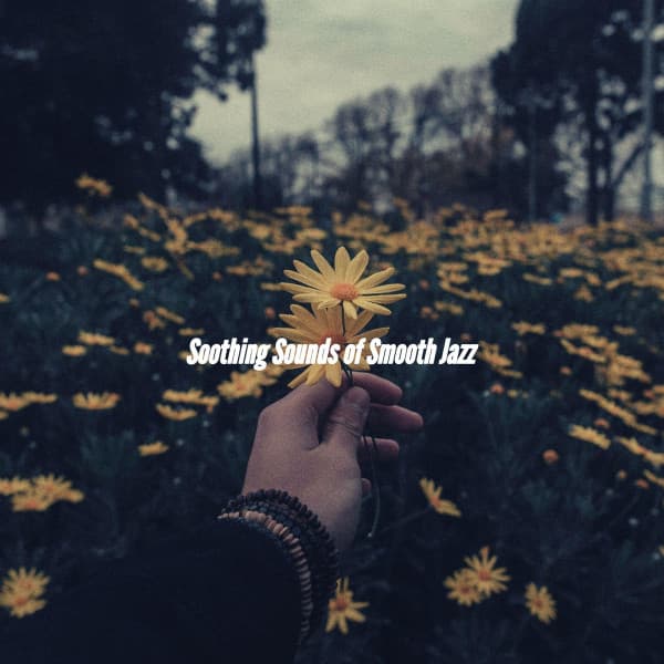 Soothing Sounds of Smooth Jazz - Coffee Table Jazz Radio