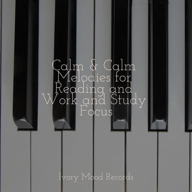 Calm & Calm Melodies for Reading and Work and Study Focus - Piano Love Songs
