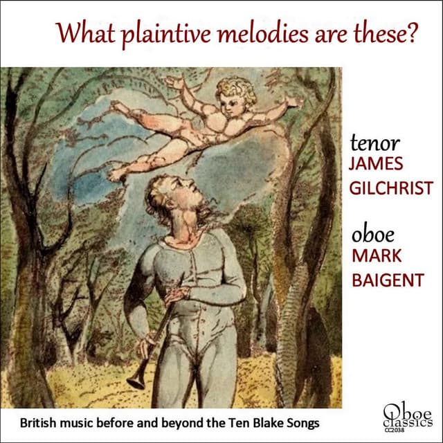 What plaintive melodies are these? - Mark Baigent