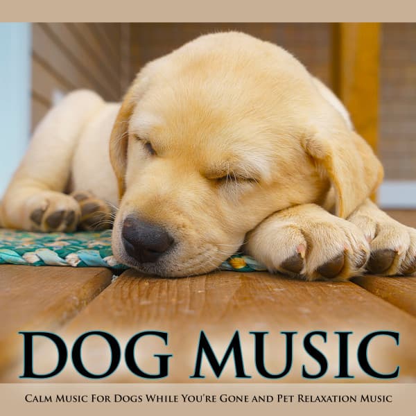 Music For Your Dog