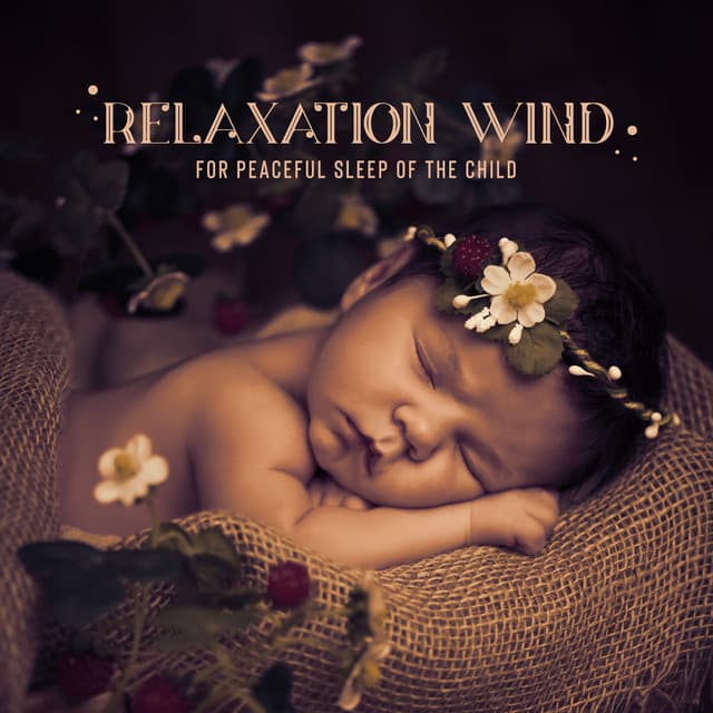 Fast Asleep Baby – Relaxation Wind for Peaceful Sleep of the Child - Sleep System