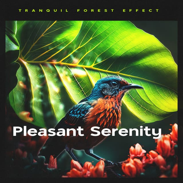 Pleasant Serenity - Tranquil Forest Effect