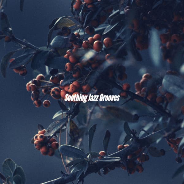 Soothing Jazz Grooves - Jazz para Oficinas