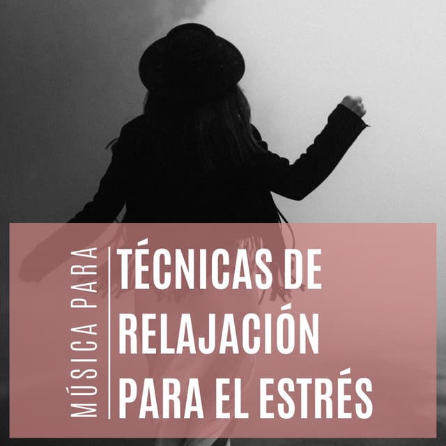 Música para Técnicas de Relajación para el Estrés - Musica Reiki