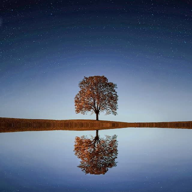 25 Atmospheric Soundscapes: Calm Moments - Baltic Nature Sounds