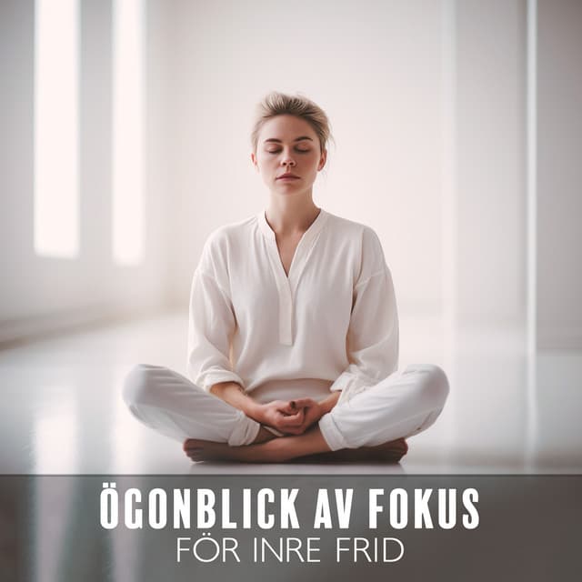 Ögonblick av fokus för inre frid - Lugn Musik Atmosfär