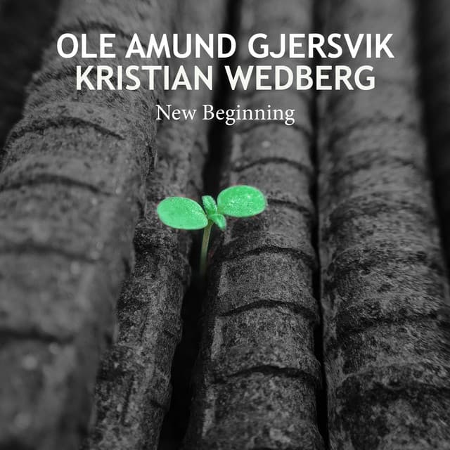 New Beginning - Ole Amund Gjersvik