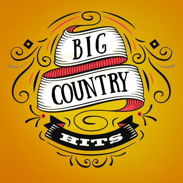 Big Country Hits - Country Hit Superstars