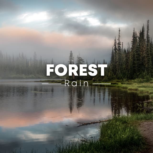 Forest Rain - Rainforest Sounds