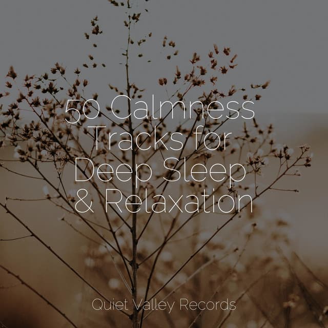 50 Calmness Tracks for Deep Sleep & Relaxation - Relaxing Sleep Sound