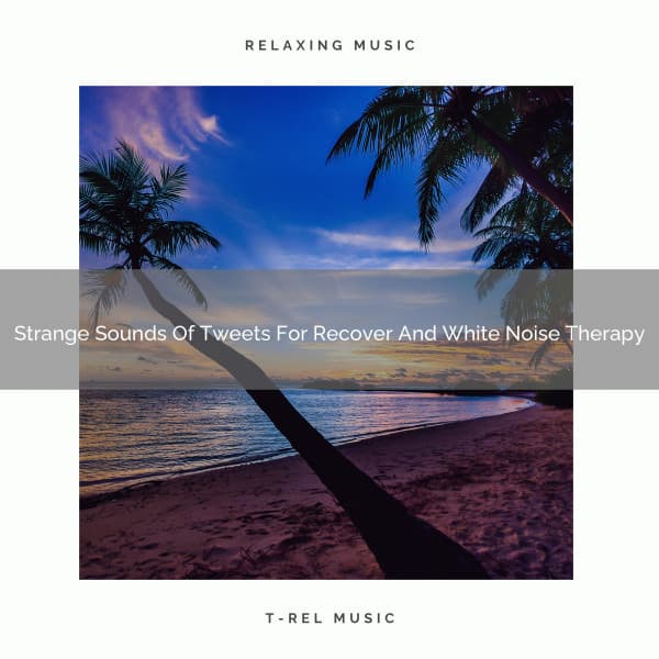 Strange Sounds Of Tweets For Recover And White Noise Therapy - Astral Noise