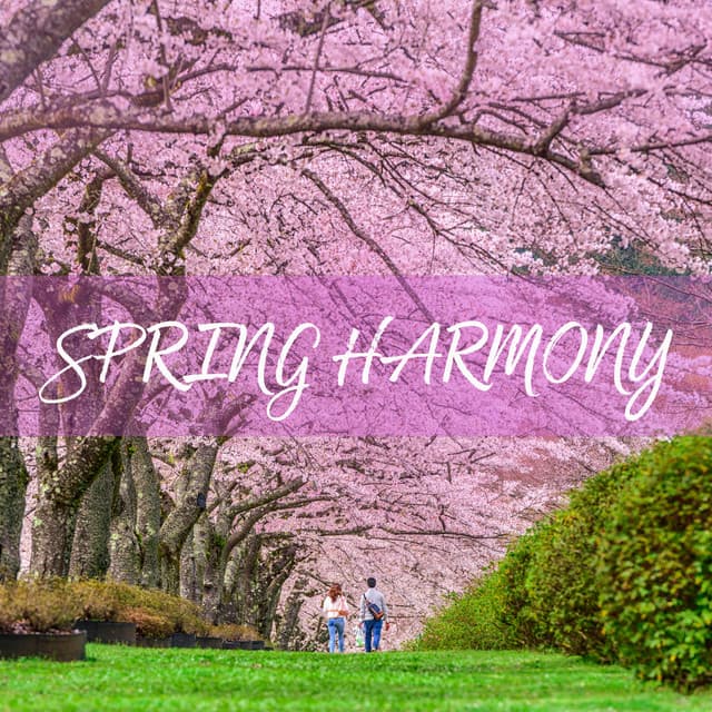 Spring Harmony: Quiet Contemplation and Full Relaxation - Total Relax Zone