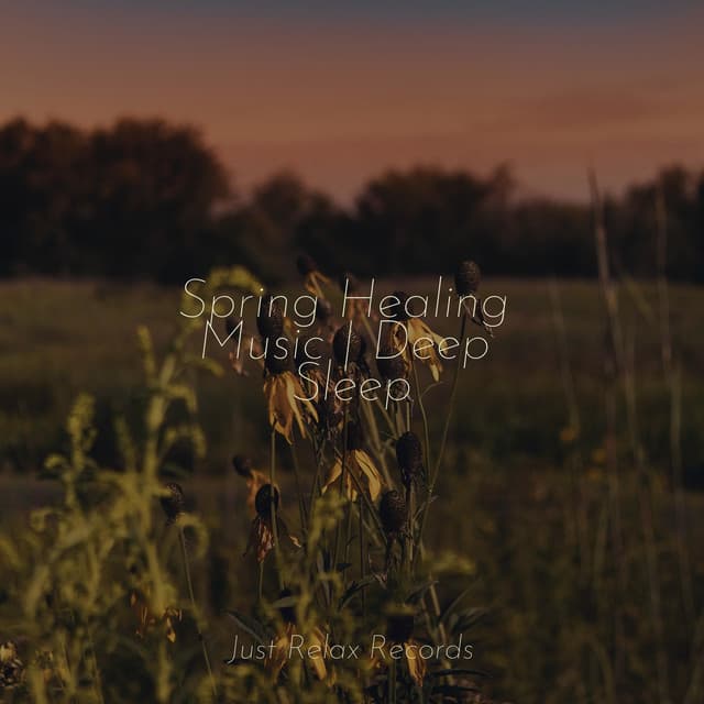 Spring Healing Music | Deep Sleep - Brain Study Music Guys