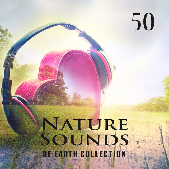Nature Sounds of the Earth
